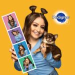 Karol Sevilla Instagram – Los perritos son puro amor y se vuelven parte de tu familia. Si estás pensando en darle la bienvenida a un nuevo integrante, visita pedigreeadoptame.mx y encuentra a tu nuevo mejor amigo.🐶✨
 #Ad @pedigree_mex