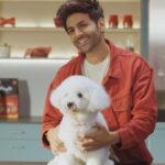 Kartik Aaryan Instagram – On the Auspicious occasion of Diwali @katoriaaryan makes her debut in the world of Ads 😁🤩 
Wishing you and your furry friends a joyous and a safe Diwali 
filled with love light and delightful moments of togetherness 
🪔🫶🏻 
@droolsindia 😊
