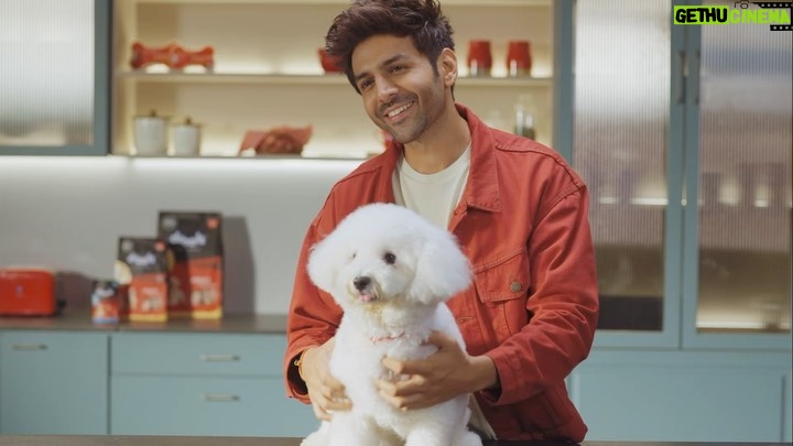 Kartik Aaryan Instagram - On the Auspicious occasion of Diwali @katoriaaryan makes her debut in the world of Ads 😁🤩 Wishing you and your furry friends a joyous and a safe Diwali filled with love light and delightful moments of togetherness 🪔🫶🏻 @droolsindia 😊