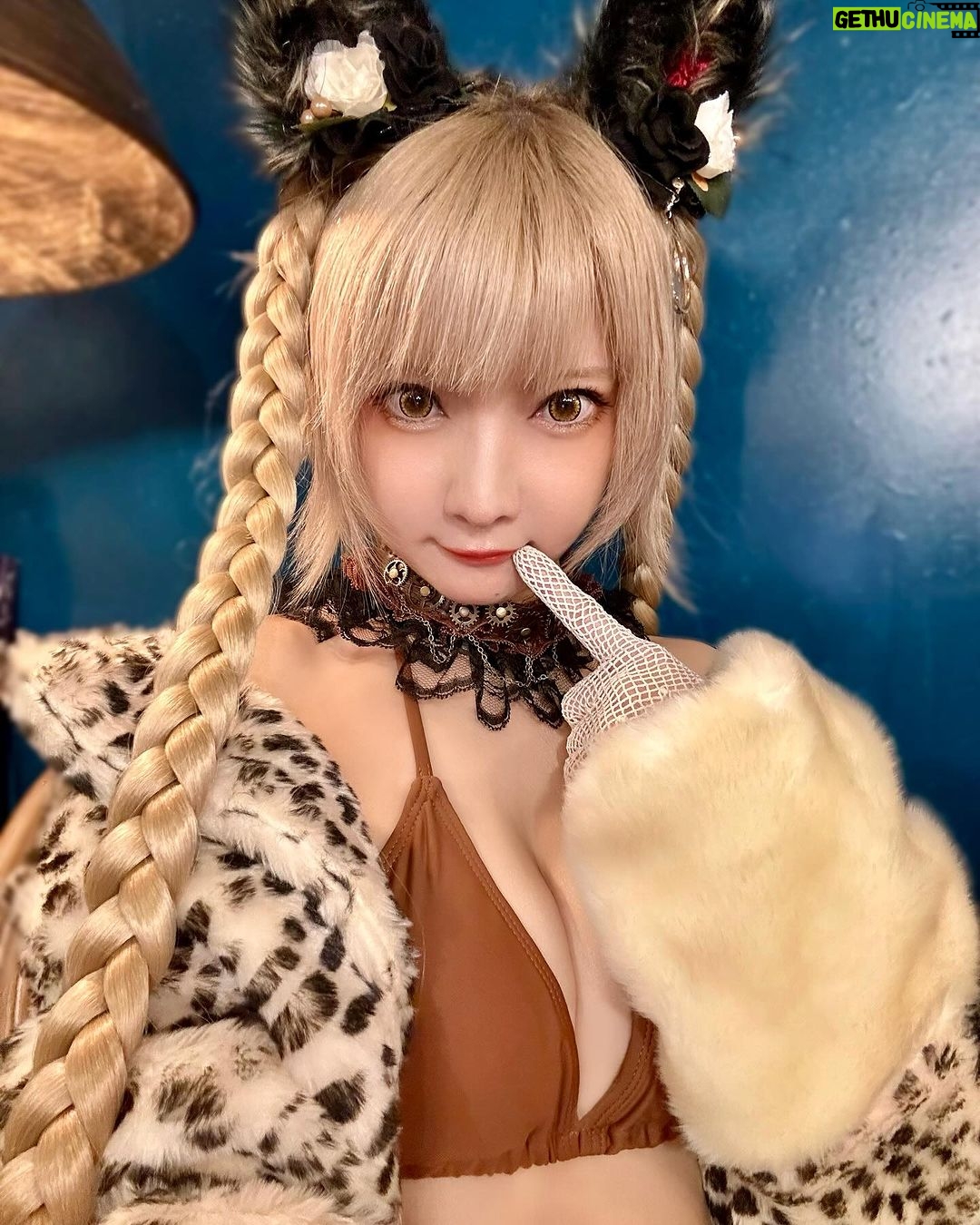 Kashou Rosiel Instagram - コミケで会えるの?🐈 #天下一の二次元体型