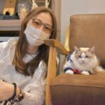 Kasumi Hasegawa Instagram - 幸せ空間 @mocha.koendori に行ってきた時の♡ どこを見ても、猫！猫！猫！！！ カメラのシャッターが止まりませんでした😂 人馴れしてる猫がたくさんいて、一枚目の猫ちゃんは猫吸いさせてくれました🤣 リールも撮ったので後ほど載せますね🐈🐈 ほんっと癒し空間だった！幸せ！！ #猫カフェmocha #猫カフェ #pr #渋谷猫カフェ #渋谷カフェ #猫吸い 猫カフェモカ （猫カフェmocha）渋谷公園通り