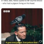 Kate Beckinsale Instagram - I have never felt so represented in my entire life @bbc_archive