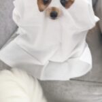Kate Beckinsale Instagram - Willow ain’t afraid of no ghosts
