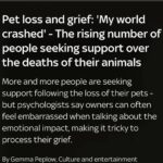Kate Beckinsale Instagram - Beautiful, must-read article in @skynews this morning about pet loss and grief, by @gemmapeplow, illustration (2nd slide) by @flimsy_kitten. The 🔗 to read is in my bios and story. @katebeckinsale #petloss #grief #rainbowbridge #mydog #mycat #dogmom #catmom #dogsofinstagram #catsofinstagram #psychology #clinicalpsychology #dogparents #furmom #petmom #petmemorial #neverforgotten #neverforget #vetmed #veterinarian #veterinarytechnician #vettech #dogsarefamily #petsarefamily #catlover #doglover #animallovers #horselover #heartdog #muttsofinstagram #whorescuedwho London, United Kingdom