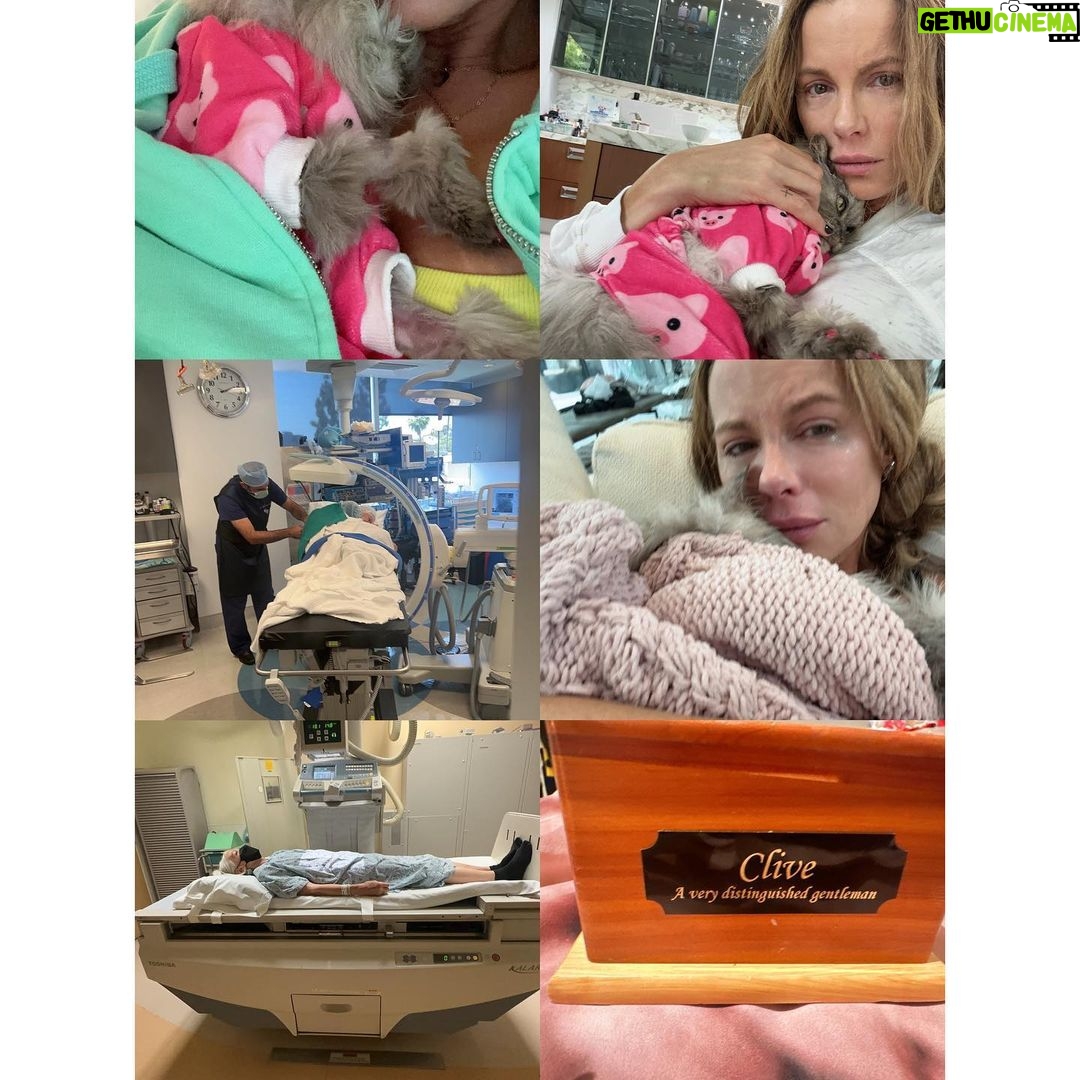 Kate Beckinsale Instagram - Instagram and reality 2023 January-October