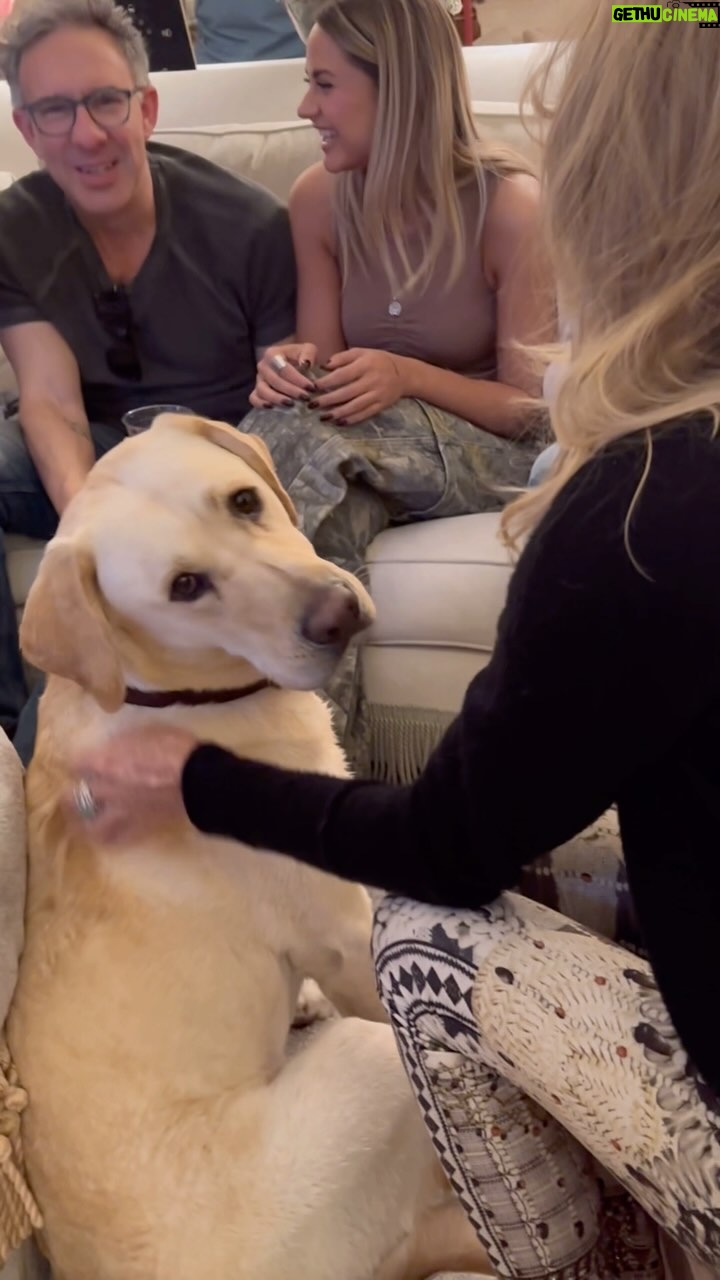 Kate Hudson Instagram - There’s a lot of thespians in this families but tonight there was only one star 🌟 #roy #hollywoodroyalty #kingofbudweiser #yellowlab #superbowl