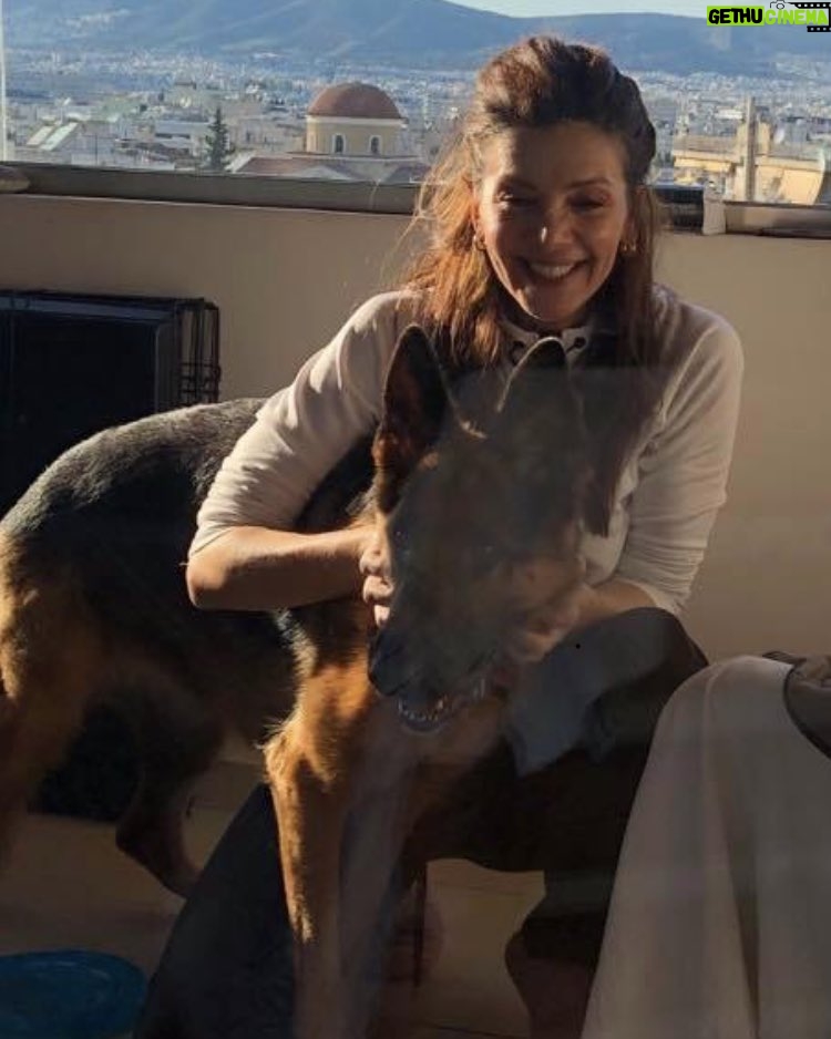 Katerina Lehou - 5.3K Likes - Φωτοσυνθετουμε με το « νινί» στο μπαλκόνι! Υπομονή.....