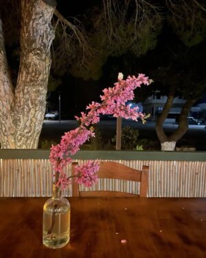 Katerina Lehou Instagram - Αναπνέω ξανά…..