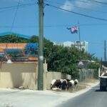 Katherine Hughes Instagram - 🇦🇮 Anguilla, British West Indies