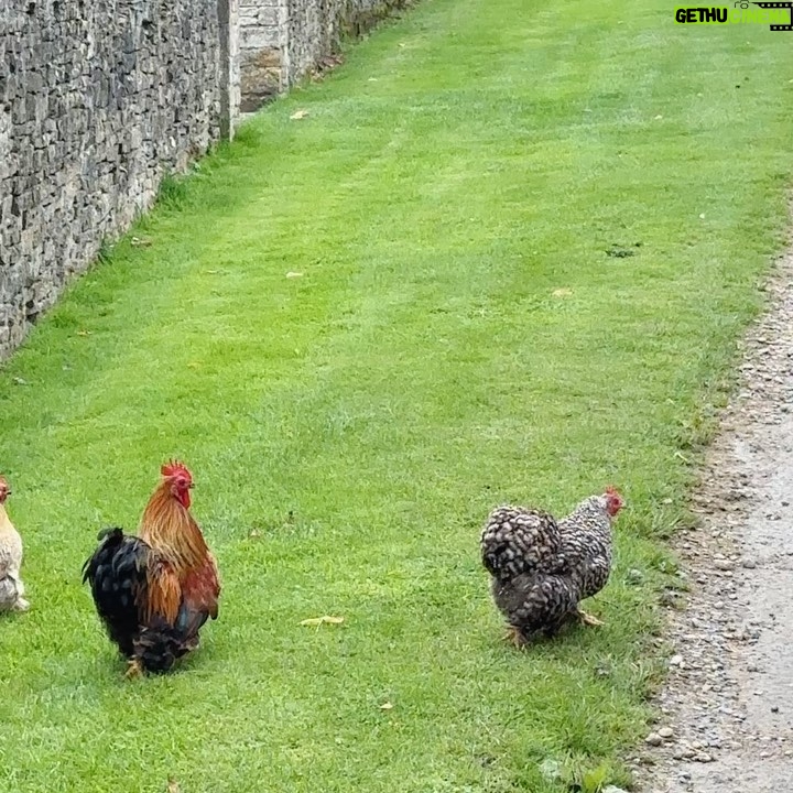 Katherine Hughes Instagram - 🦋🦋🦋 Cotswolds, England
