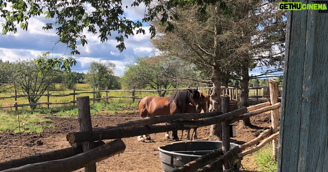 Katherine Levac Instagram - C’est ce soir que débute la 10ième saison de L’amour est dans le pré et je ne pourrais pas être plus heureuse de vous présenter les cinq agriculteurs de cette année. Des humains en or que j’ai eu le privilège de rencontrer et de voir évoluer, tout ça, en ayant très chaud, enceinte de 7 mois. Je suis fière d’eux et je les trouve cool en maudit. Bonne saison les amis, c’est à 20h sur @noovo.ca 🌽