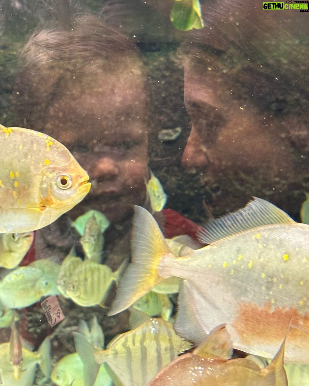 Katherine Levac Instagram - Un matin très biodiversifié. Biodôme de Montréal