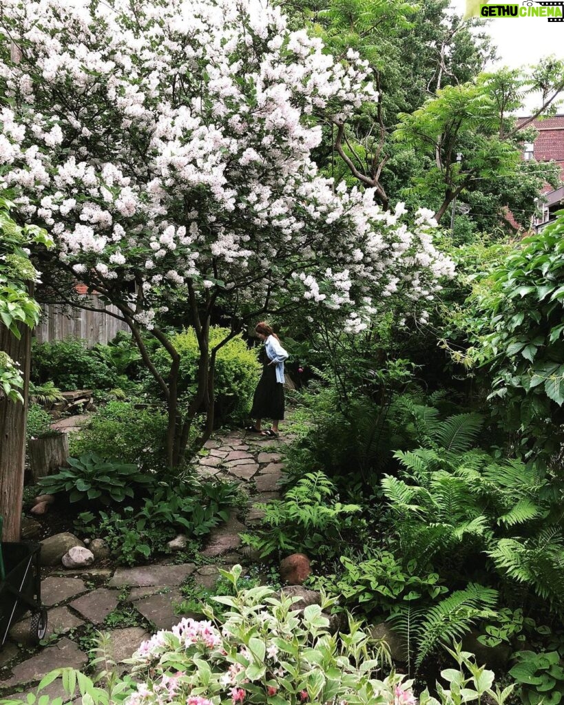 Katherine Levac Instagram - Jardin botanique chez nous grâce à @geraldbelanger 🪲 Pointe-Saint-Charles