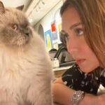 Kathryn Bernardo Instagram - Whatchalookin at, cat? 👀