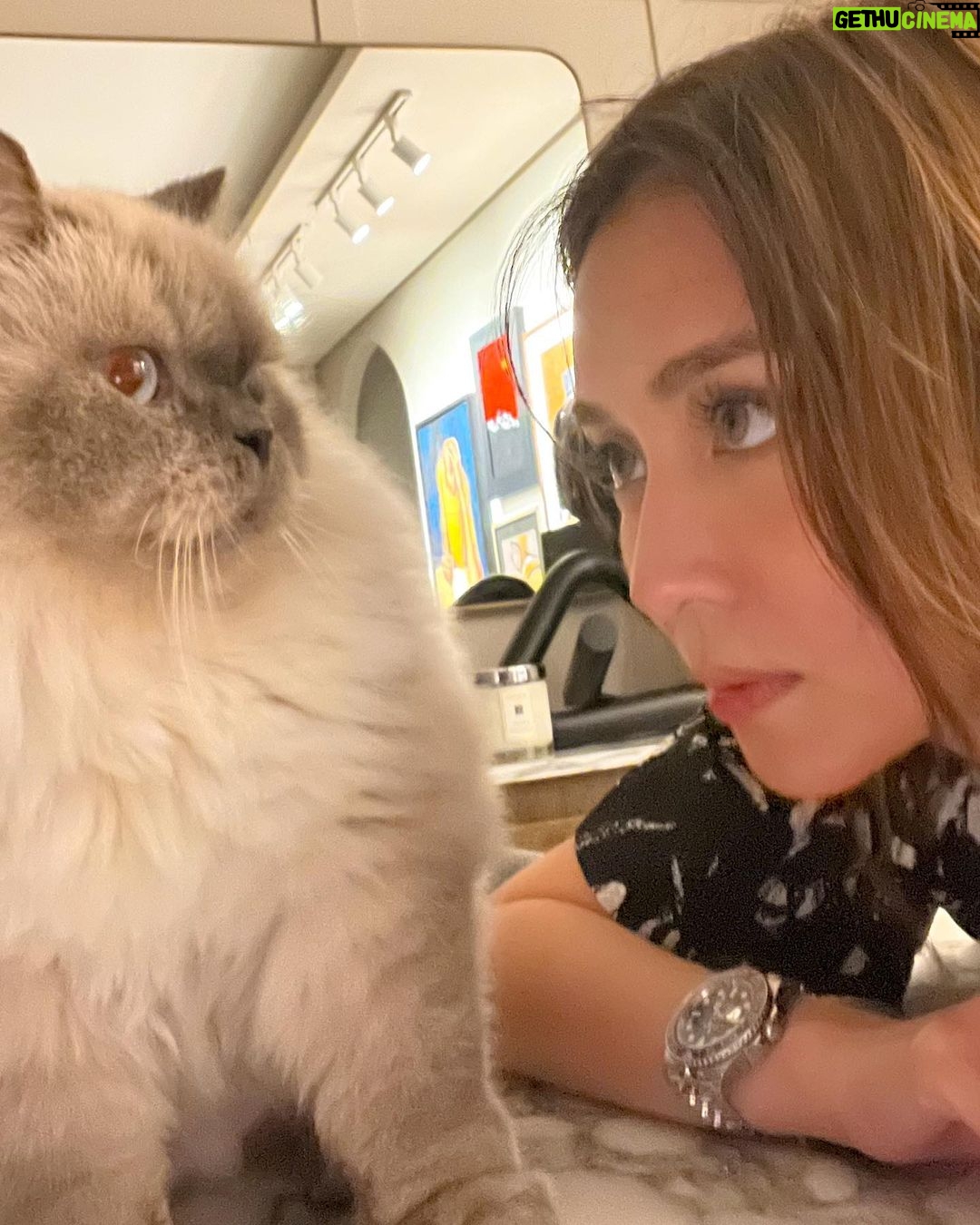 Kathryn Bernardo Instagram - Whatchalookin at, cat? 👀