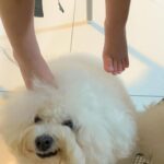 Kathryn Bernardo Instagram - Uhhmm… mom? Is this okay?🦶🏻🙊