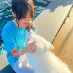 Kathryn Bernardo Instagram - Weekly life update nobody asked for 🫢