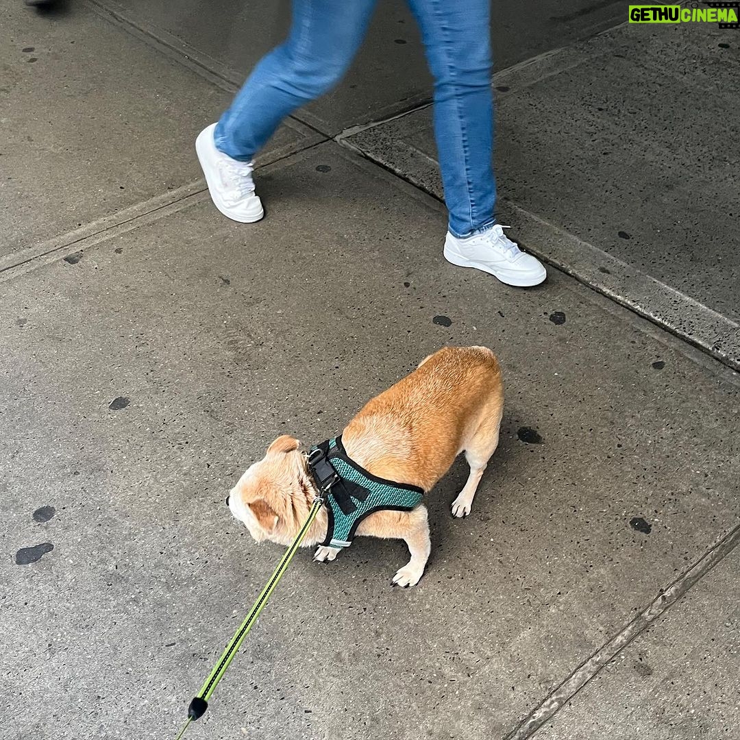 Kathy Najimy Instagram - Another installment of the white sneaker series. I love Manhattan but, perplexed and amazed how these folks keep their sneakers so white and clean on these streets… (with cameos by Petie)