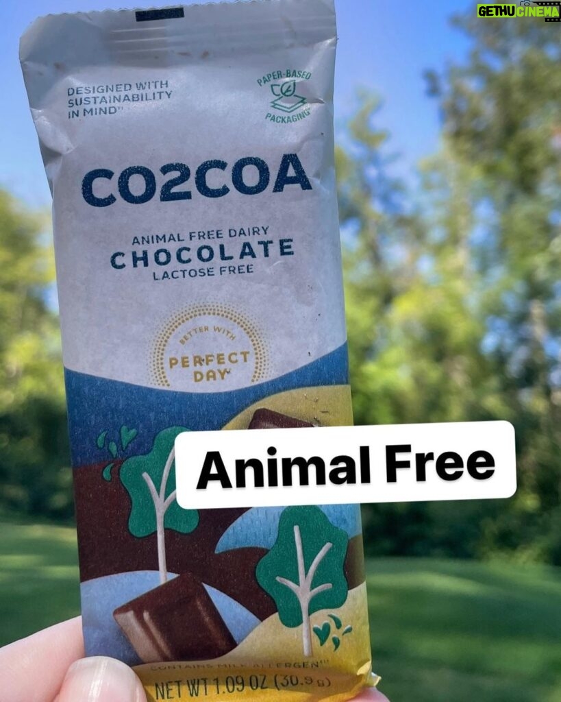 Katie Leclerc Instagram - #Ad CO2COA is an earth conscious and DELICIOUS chocolate! If you love the planet and you love chocolate, you need to shop the link in my bio! It’s animal free, lactose free, AND has a silky smooth texture. No joke, I am obsessed. #linkinbio @Marswrigley #CO2COA