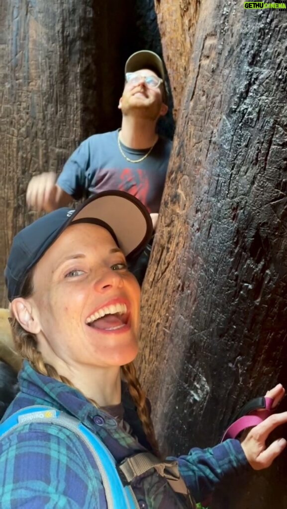 Katie Leclerc Instagram - Public service announcement: Sequoia National Forest is not the same as Sequoia National Park. Still a 10 out of 10 great weekend!! #bigtrees #happydog Trail Of 100 Giants - Sequoia Mtns