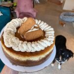 Katie Leclerc Instagram - Joey is into Cookie Butter #CookieButterCheesecake #KatieBakes