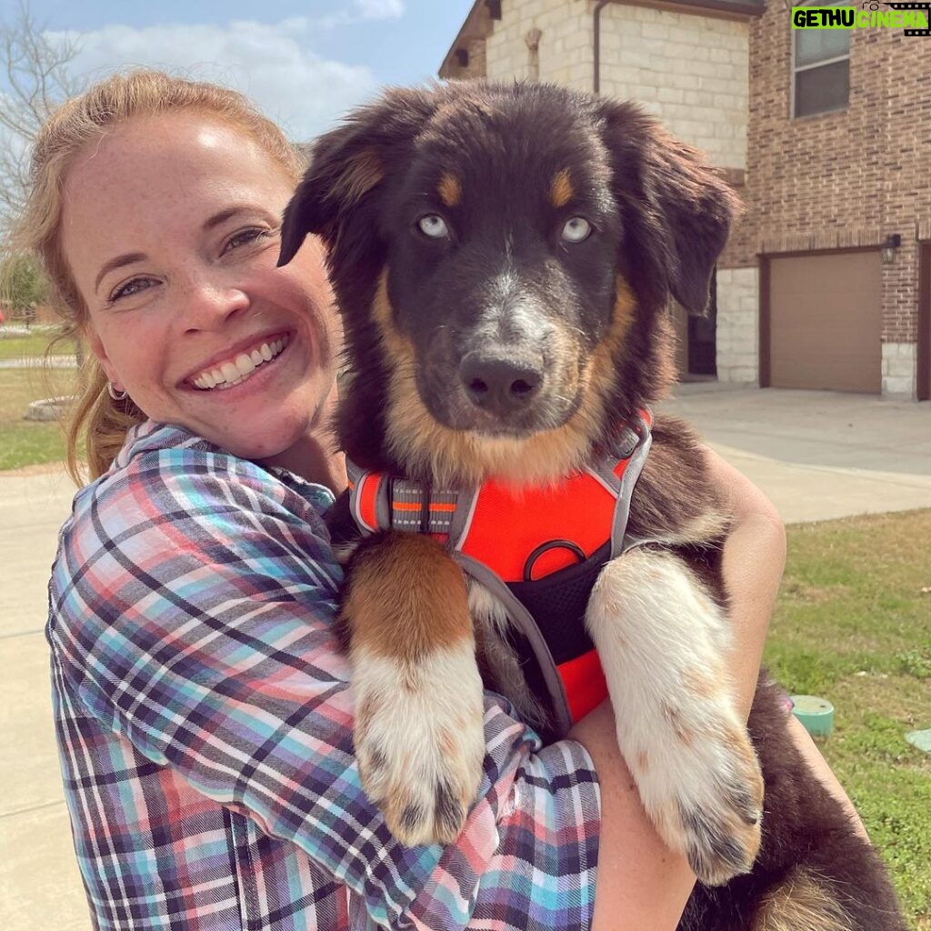 Katie Leclerc Instagram - Meet my new best friend Jolene! (She goes by Joey!) She hates elevators and loves running, she’s got the most stunning eyes and she wags her whole butt when she’s excited! We’ve only known each other for 6 days and I’m already so in love! 😍😍 #campingbuddy #australianshepherd #puppylove