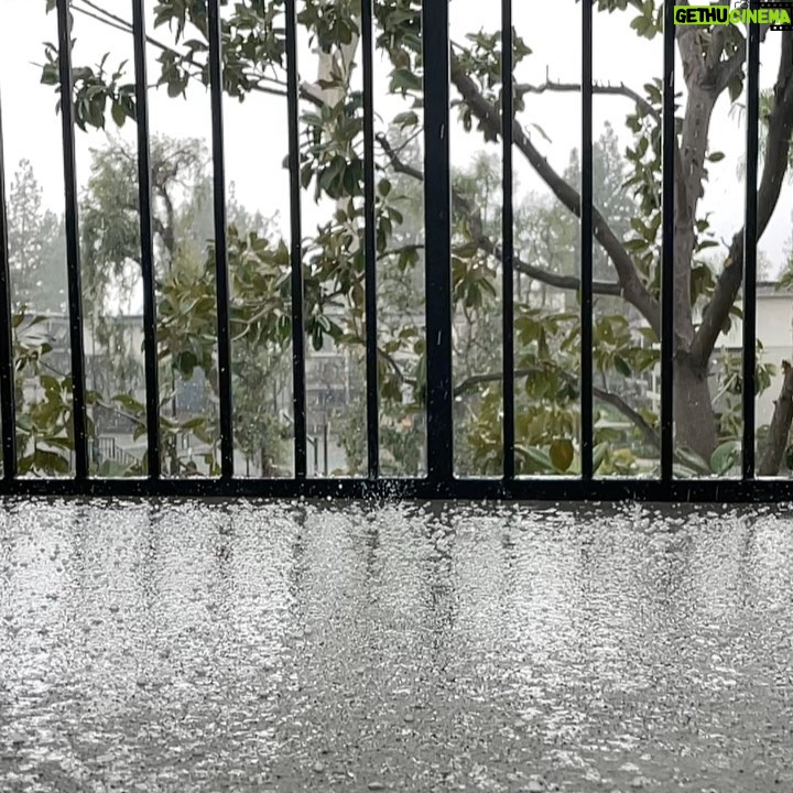 Katie Leclerc Instagram - Will I be going outside today? #ohhailno
