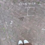 Katie Leclerc Instagram - Amsterdam photo dump 2!