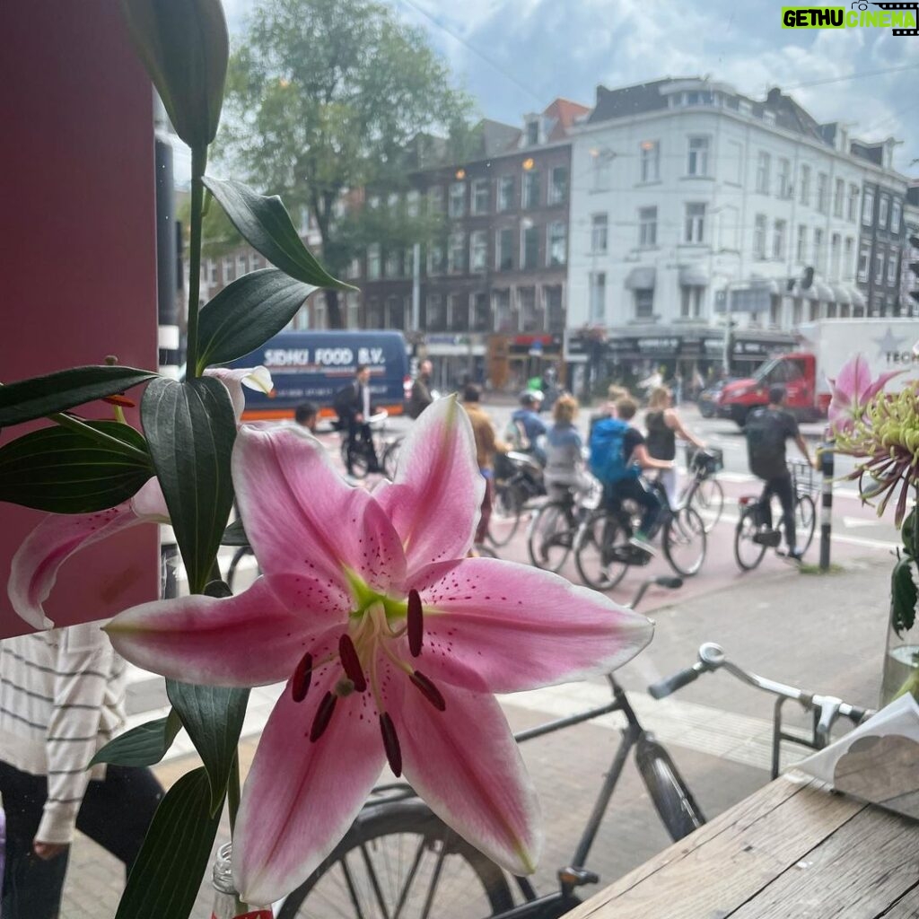 Katie Leclerc Instagram - Amsterdam photo dump number 1: Just the flowers (last pic from @joeydeboer !!) Amsterdam, Netherlands