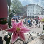 Katie Leclerc Instagram - Amsterdam photo dump number 1: Just the flowers (last pic from @joeydeboer !!) Amsterdam, Netherlands