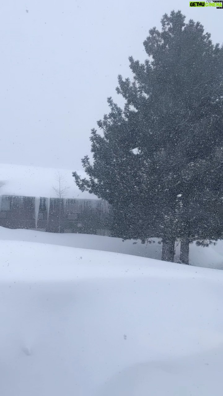 Katie Leclerc Instagram - What’s the most snow you’ve ever seen?? Mammoth Mountain