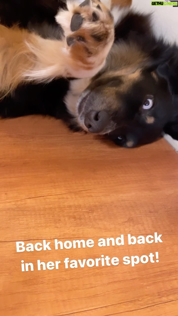 Katie Leclerc Instagram - I love when she’s belly up! #JoeyGirl