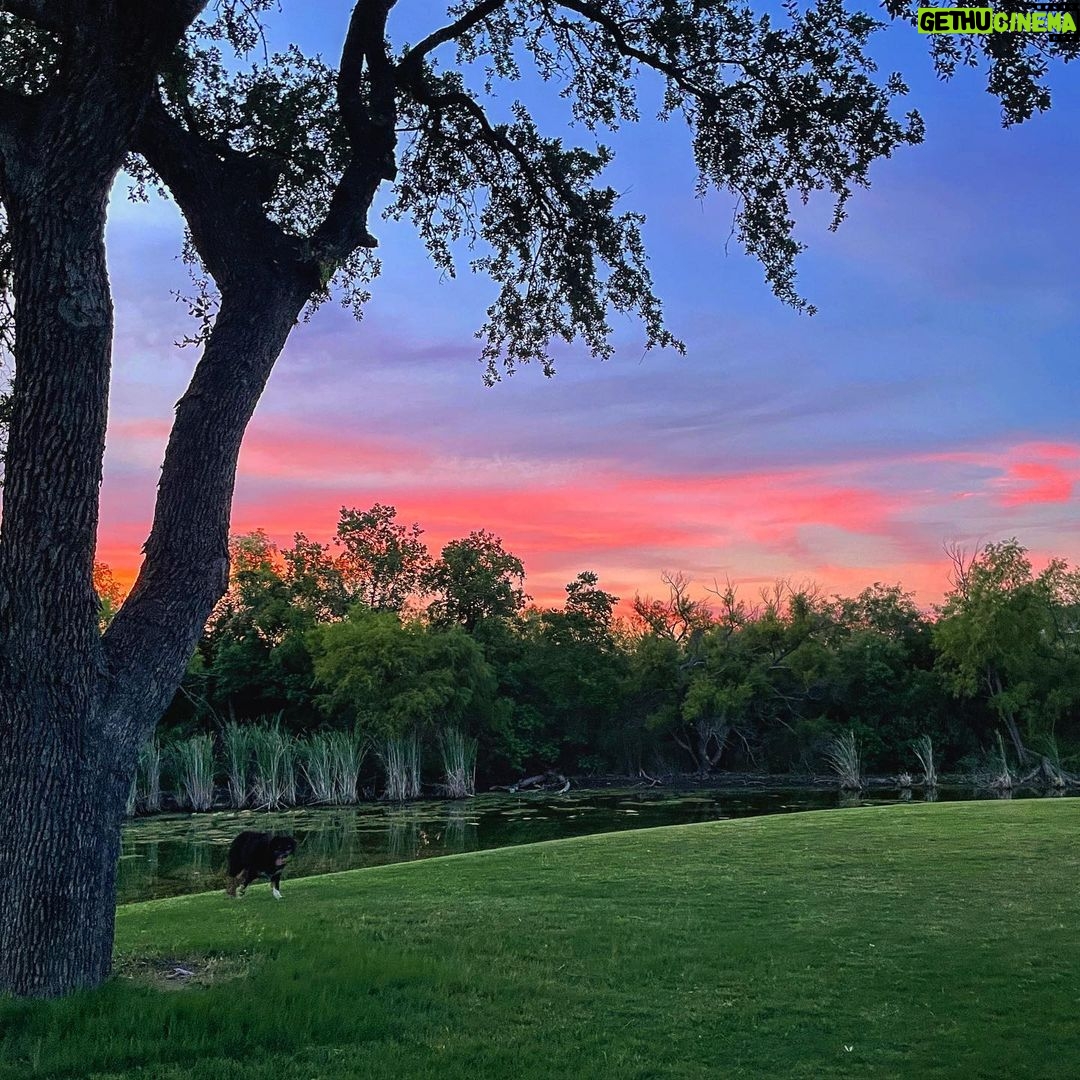 Katie Leclerc Instagram - Where is your happy place? This is for sure Joey’s favorite spot! #texas #sunset #lakeside #australianshephard #sheneedsabath San Antiono, Texas(: