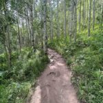 Keahu Kahuanui Instagram - One of the most beautiful backcountry areas in America (imo) and luckily one I’ve spent a lot of time exploring is in Colorado. Spring, Summer, fall or winter, 🏔️ Aspen Snowmass Wilderness 🏔️ has never disappointed and this 27 mile, 8200ft gain, high elevation trek over 3 days was no exception. I actually want to come back and try to trail run this in a day 🫠. Any takers 😅? #roamtheplanet #mountains #hikingtrails #hikingadventures #optoutside #hikingtips #ourdailyplanet #whyihike #explorecolorado #fourpassloop #exploreaspen #k2o Aspen, Colorado