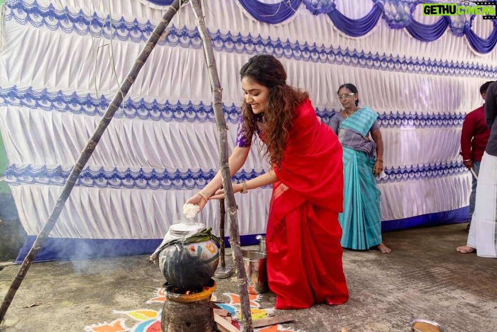 Keerthy Suresh Instagram - May this season of harvest bring love and joy to our lives. Happy Pongal 🙏🏼❤️ இனிய பொங்கல் வாழ்த்துக்கள் 🌾🍯🎋 #pongal2024