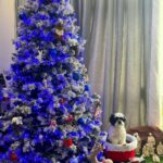 Keerthy Suresh Instagram - And it was a very merry Christmas! 🤷🏻‍♀️🎄🎅🏻 🐶 #christmas2023