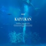 Ken Lertsittichai Instagram - KAIYUKAN : Osaka Aquarium 🐠🐟🐋 #japan #osaka #kaiyukan Kaiyukan Aquarium, Osaka Japan