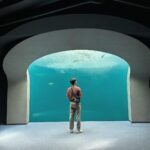 Ken Lertsittichai Instagram - EXPLORING A STORY OF WATER AND LIFE 🪼🐠🦦 #japan #kagawa #shikokuaquarium 四国水族館