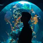 Ken Lertsittichai Instagram - 🔮The Miraculous Planet🐠 #kobeportmuseum #kobe #japan
