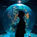 Ken Lertsittichai Instagram - ATOA : AQUARIUM X ART🐠🪼🔮 KOBE 🇯🇵 #japan #aquarium #kobe アトア atoa kobe