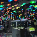 Ken Lertsittichai Instagram - ATOA : AQUARIUM X ART🐠🪼🔮 KOBE 🇯🇵 #japan #aquarium #kobe アトア atoa kobe