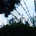 Kenjiro Tsuda Instagram – #ツダケンカメラ #津田健次郎
instagram.com/2_da_ken/