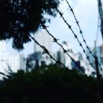 Kenjiro Tsuda Instagram - #ツダケンカメラ #津田健次郎 instagram.com/2_da_ken/