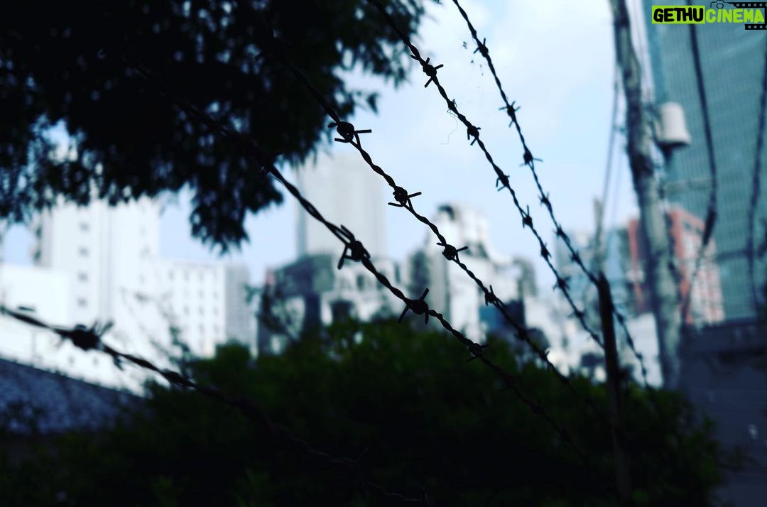 Kenjiro Tsuda Instagram - #ツダケンカメラ #津田健次郎 instagram.com/2_da_ken/
