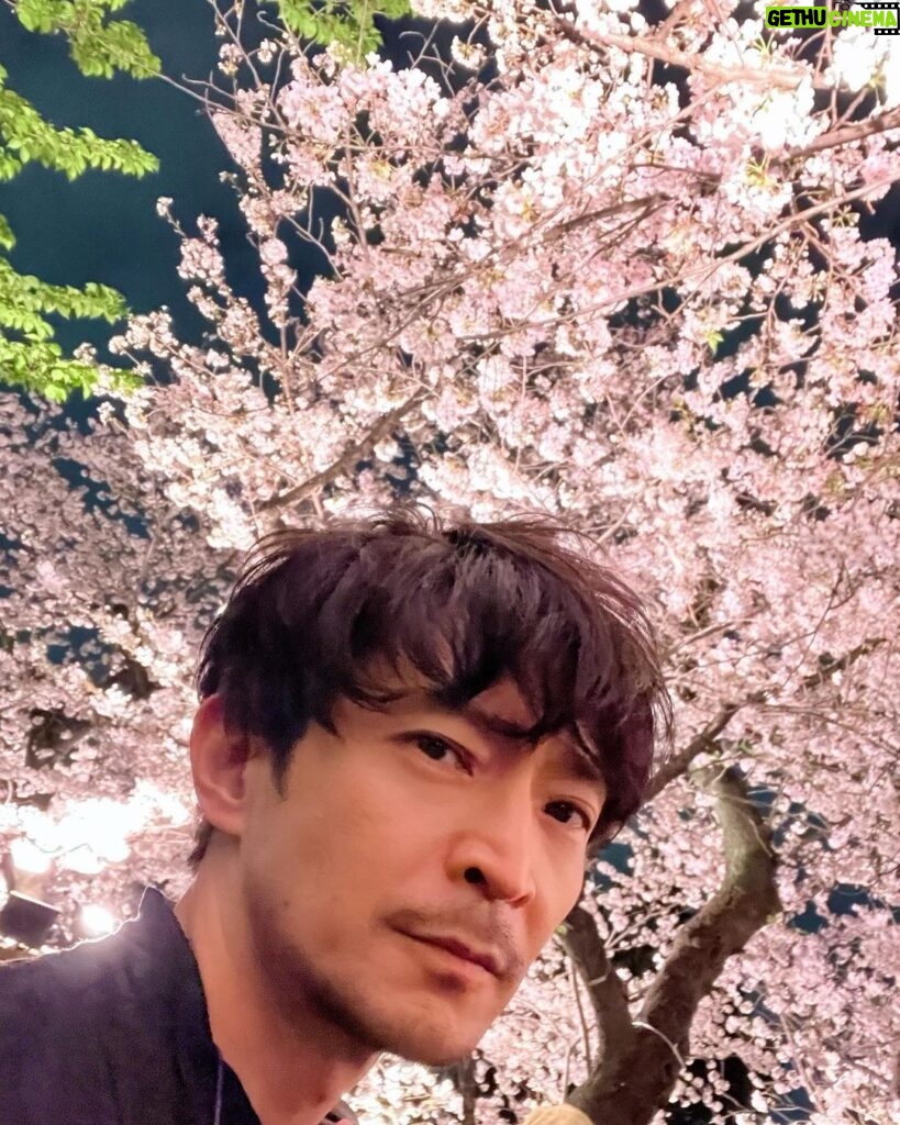 Kenjiro Tsuda Instagram - 先日、満開の桜の樹の下で The other day, under the cherry tree in full bloom. #津田健次郎 #ツダケン #kenjirotsuda #tokyo #poorenglish