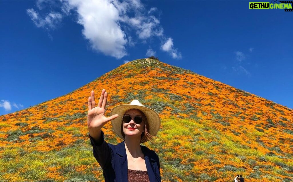 Kenneth Mitchell Instagram - Marinating in the wonderment of the Poppy Super Blooms with my #StarTrek buddy @couttsemily #LLAP #StarTrekDiscovery 🧡 Walker Canyon Poppy Fields