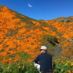 Kenneth Mitchell Instagram - Marinating in the wonderment of the Poppy Super Blooms with my #StarTrek buddy @couttsemily #LLAP #StarTrekDiscovery 🧡 Walker Canyon Poppy Fields