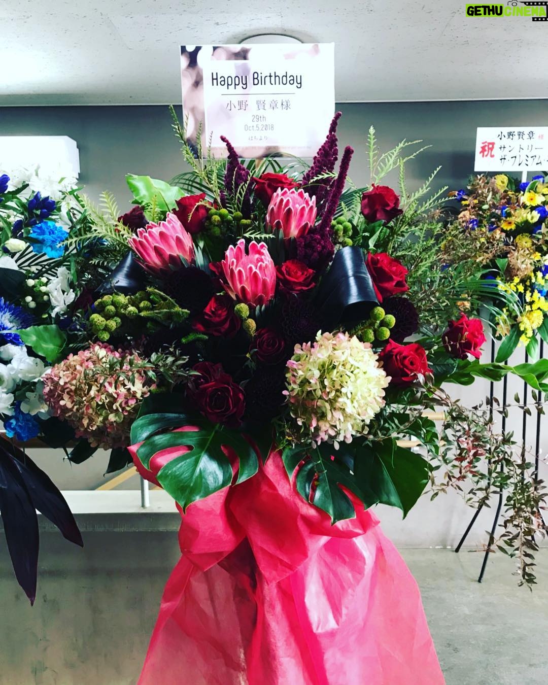 Kensho Ono Instagram - 頂いたお花シリーズ🌼 ありがとうございます😎✨