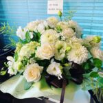 Kensho Ono Instagram – まさかミツカンさんのCMに出演する日が来るとは…。
優香さんの弟役で出演しております!
是非ご覧ください!!
#ミツカン #キムチ鍋つゆ
https://youtu.be/rSVFDi5TqMw