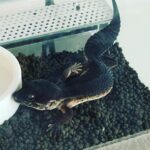 Kensho Ono Instagram - おてて、かわ☺️
